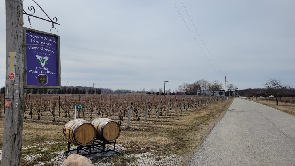 A picture of a vineyard with wine barrels on the left